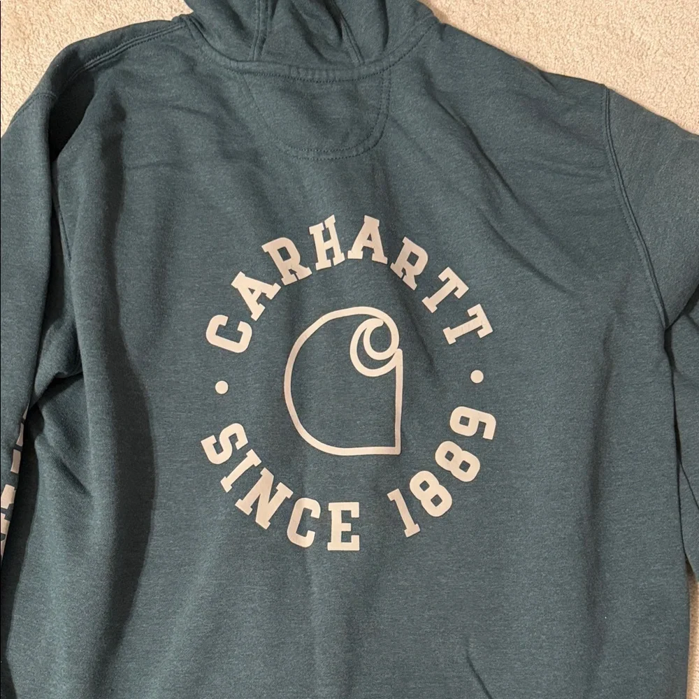 Carhartt Loose Fit Rain Defender Sweatshirt Forest Green - Picture 4 of 4